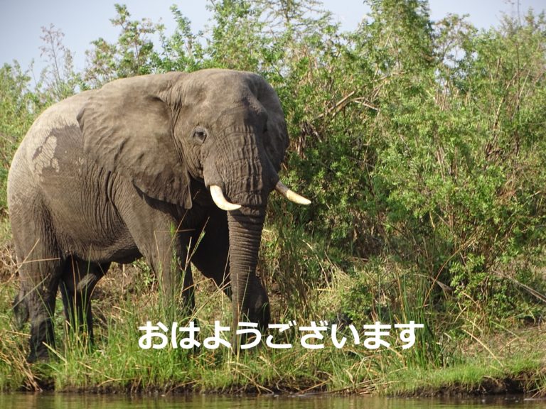 78612206_1665003636957606_6394012745217343488_n